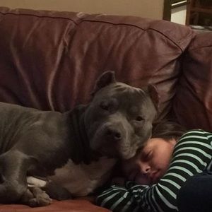 Meet your Posher, Greg